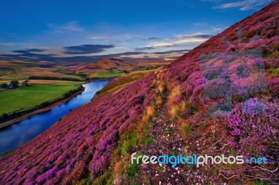 Beautiful Landscape Of Scottish Nature Stock Photo