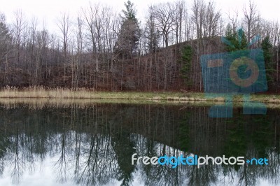 Beautiful Landscape With The Lake And The Trees Stock Photo