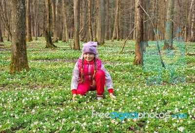 Beautiful Little Girl With Wild White Flowers In Forest Stock Photo