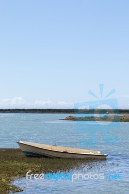 Beautiful Marshlands Stock Photo