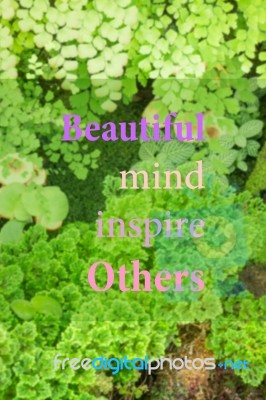 Beautiful Mind Inspire Others. Inspirational Quote Stock Image