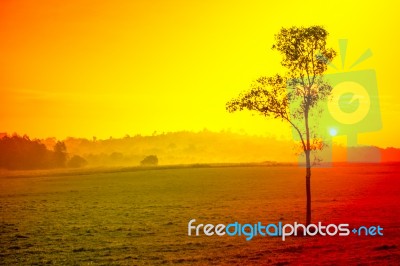 Beautiful Morning Light Fog Lights, Trees, Mountains, Beautiful Stock Photo