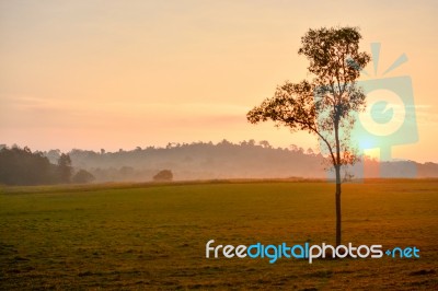 Beautiful Morning Light Fog Lights, Trees, Mountains, Beautiful Stock Photo