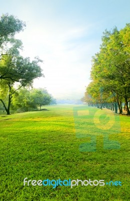 Beautiful Morning Light In Public Park With Green Grass Field An… Stock Photo