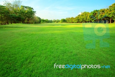 Beautiful Morning Light In Public Park With Green Grass Field An… Stock Photo