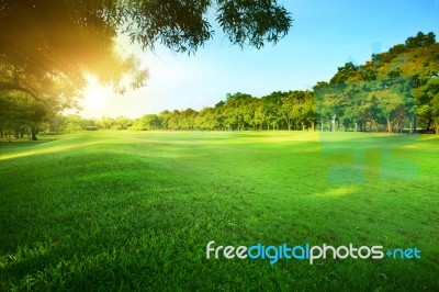 Beautiful Morning Sun Shining Light In Public Park With Green Gr… Stock Photo