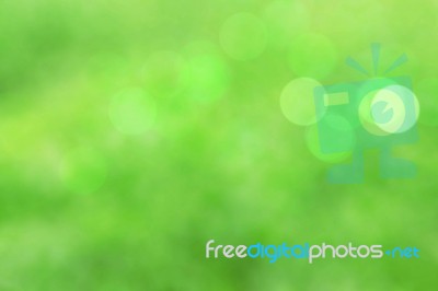 Beautiful Of Green Background Stock Photo