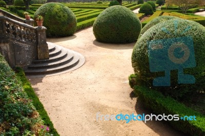 Beautiful Ornamental Garden With Green Bushes Stock Photo