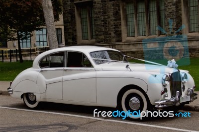 Beautiful Photo Of The White Jaguar Mark Ix Stock Photo