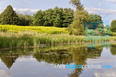 Beautiful Picture With An Amazing Lake And Forest Stock Photo