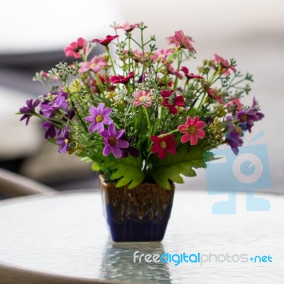 Beautiful Plastic Flowers Stock Photo