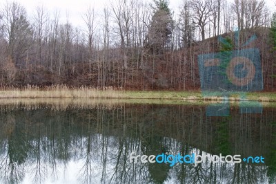 Beautiful Pond In Autumn Time Stock Photo