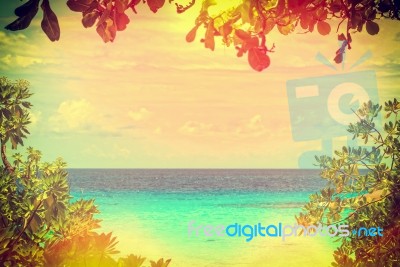 Beautiful Sea Have Leaves Is A Frame In Retro Style, Thailand Stock Photo