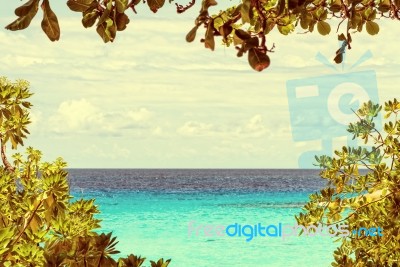 Beautiful Sea Have Leaves Is A Frame In Retro Style, Thailand Stock Photo