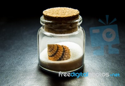 Beautiful Sea Shell On White Sand In Transparency Bottle Stock Photo