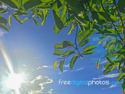 Beautiful Sky And Blue Sky Stock Photo