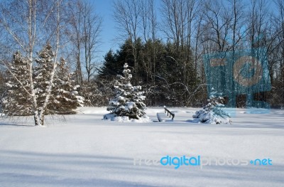 Beautiful Snow-covered Winter Day Stock Photo