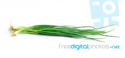 Beautiful Spring Onions On A White Background Stock Photo