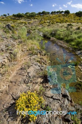 Beautiful Spring View Of A Countryside Stream Of Water Located In Portugal Stock Photo