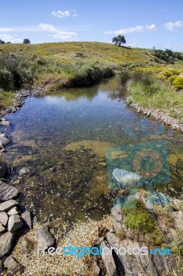 Beautiful Spring View Of A Countryside Stream Of Water Located In Portugal Stock Photo