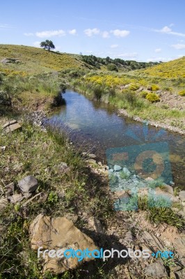 Beautiful Spring View Of A Countryside Stream Of Water Located In Portugal Stock Photo