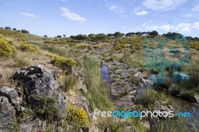 Beautiful Spring View Of A Countryside Stream Of Water Located In Portugal Stock Photo