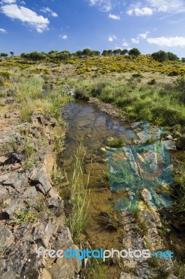 Beautiful Spring View Of A Countryside Stream Of Water Located In Portugal Stock Photo