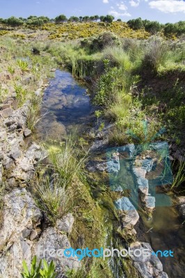 Beautiful Spring View Of A Countryside Stream Of Water Located In Portugal Stock Photo