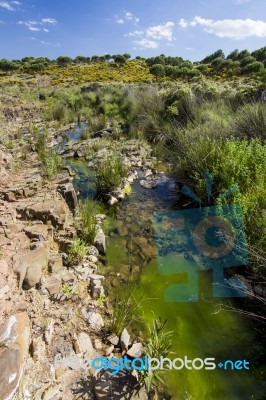 Beautiful Spring View Of A Countryside Stream Of Water Located In Portugal Stock Photo