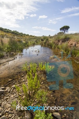 Beautiful Spring View Of A Countryside Stream Of Water Located In Portugal Stock Photo