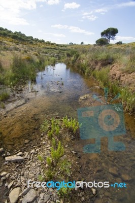 Beautiful Spring View Of A Countryside Stream Of Water Located In Portugal Stock Photo