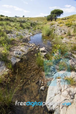 Beautiful Spring View Of A Countryside Stream Of Water Located In Portugal Stock Photo