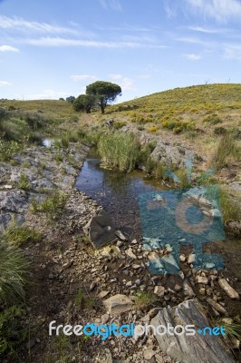 Beautiful Spring View Of A Countryside Stream Of Water Located In Portugal Stock Photo