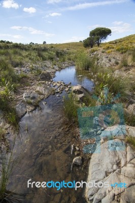 Beautiful Spring View Of A Countryside Stream Of Water Located In Portugal Stock Photo