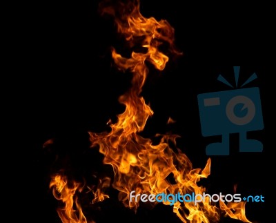 Beautiful Stylish Fire Flames Stock Photo