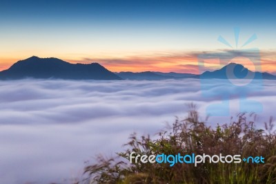 Beautiful Sun Rise At Pho Tog Mountain And The Mist In Thailand Stock Photo