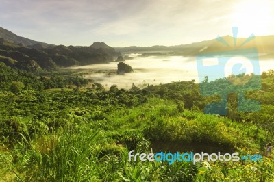 Beautiful Sun Rise Phulangka Mountain And The Mist Stock Photo