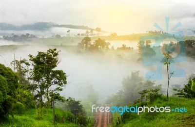 Beautiful Sunrise In Thailand Over The Valley Of Mountain  Givin… Stock Photo