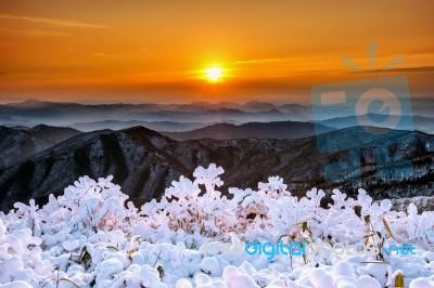 Beautiful Sunrise On Deogyusan Mountains Covered With Snow In Winter,south Korea Stock Photo