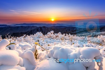 Beautiful Sunrise On Deogyusan Mountains Covered With Snow In Winter,south Korea Stock Photo