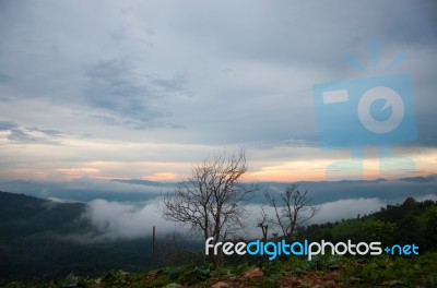 Beautiful Sunset With Mist On The Mountian Stock Photo