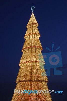 Beautiful Tall Christmas Tree (at Sunset) Stock Photo