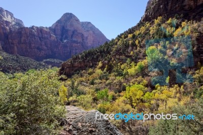 Beautiful Valley In Zion National Park Stock Photo