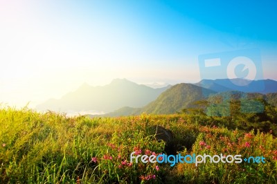 Beautiful View Nature Stock Photo