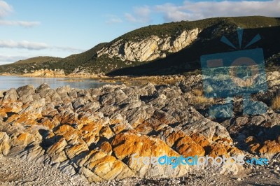 Beautiful View Of Rocky Cape, Tasmania Stock Photo