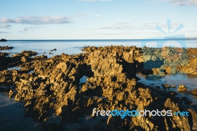 Beautiful View Of Rocky Cape, Tasmania Stock Photo