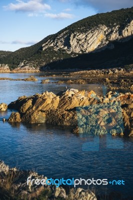 Beautiful View Of Rocky Cape, Tasmania Stock Photo