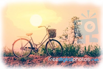 Beautiful Vintage Bicycle Stock Photo