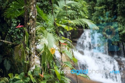 Beautiful White Stone's Waterfall In Paraty, Rio De Janeiro Stat… Stock Photo