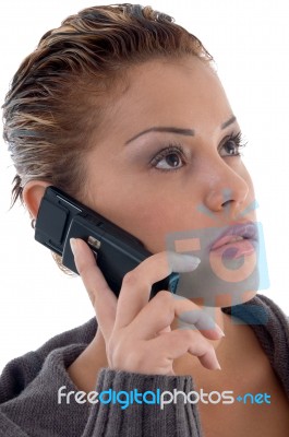 Beautiful Woman Busy On Phone Call Stock Photo